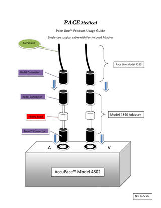 Pace Line Usage Guide