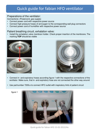 fabian HFO Quick Guide Feb 2013