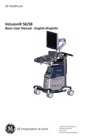 Voluson S6-S8 Basic User Manual Rev 5